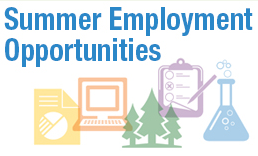 Gov Ontario - Summer Jobs 2021 #2